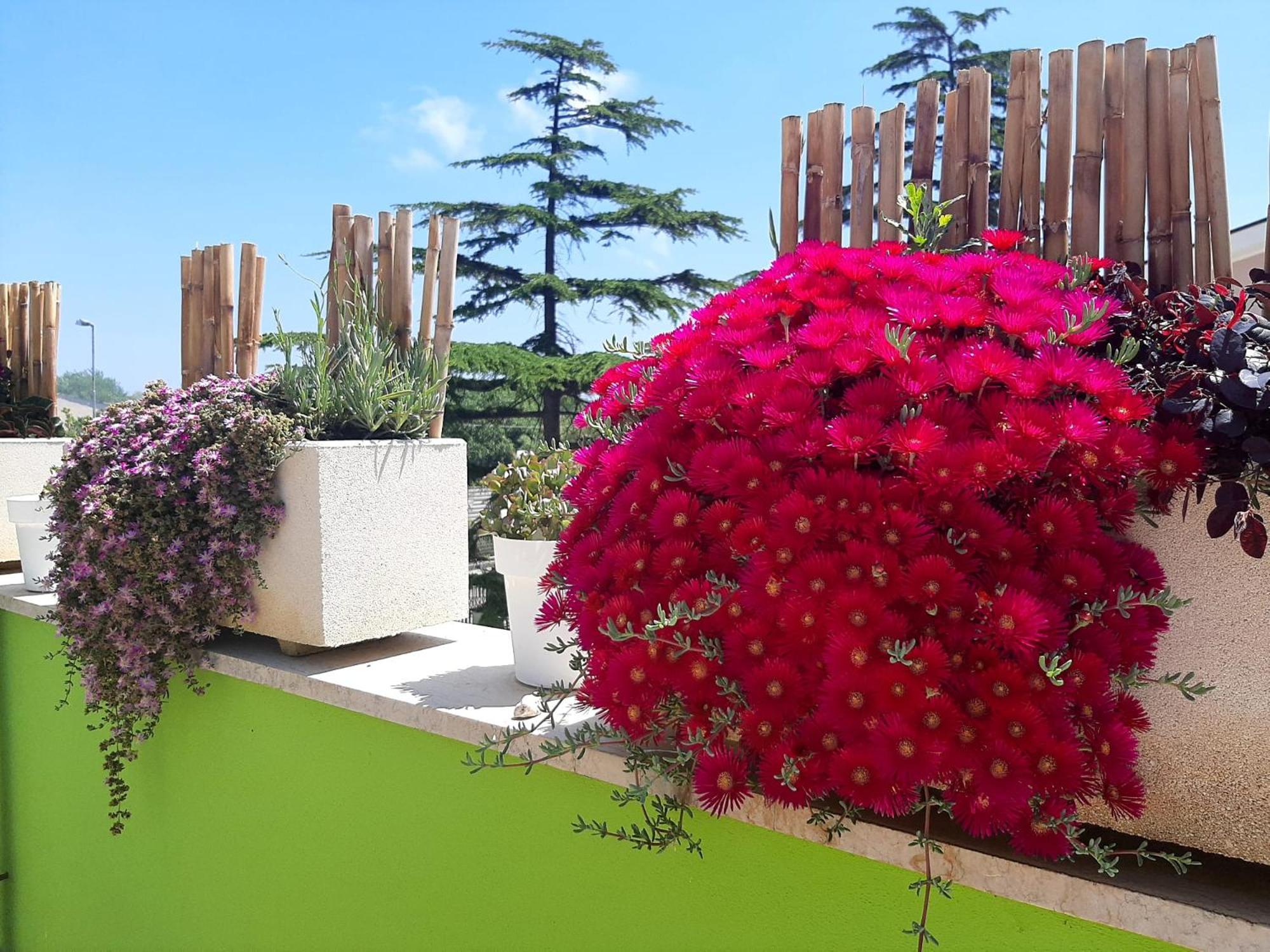 B&B Smartfit House - Room & Relax In Pescara Esterno foto